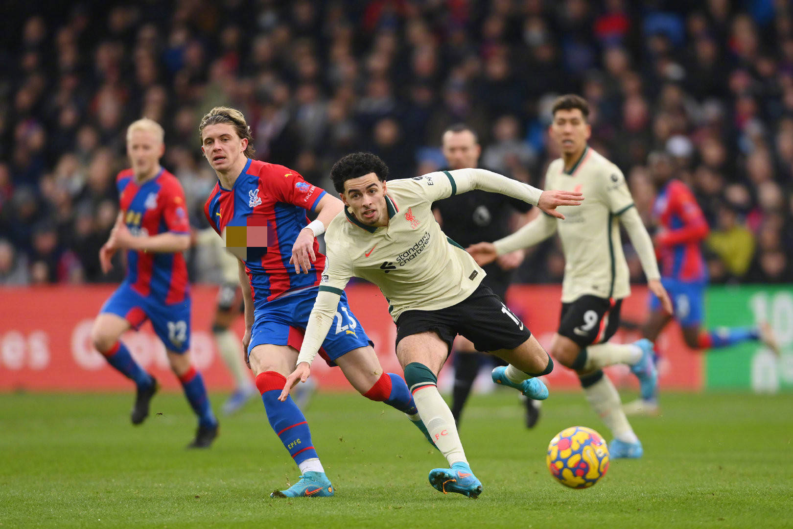 谢尔基指里 谢尔基指里